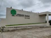 ขายทาวน์เฮ้าส์ชั้นเดียวหมู่บ้าน URBAN Forest  ปลวกแดง-202010161317391602829059140.jpg