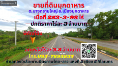 ขายที่ดินมุกดาหาร 253-3-98ไร่ ต.บางทรายใหญ่ อ.เมืองมุกดาหาร ทำเลทองติดถนน 4เลน สายมุกดาหาร-นครพนม ใกล้สะพานมิตรภาพไทย-ลาว แห่งที่2 เพียง 5 กิโลเมตร ใกล้เมืองสะหวันนะเขต ประเทศลาว เพียง 17 กิโลเมตร