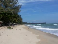 ขาย - เช่า ที่ดินเดินลงชายหาดได้เพียง  50 เมตร 14000/ ตรว.ใกล้หาดแหลมกุ่ม ทับสะแก-202209160830271663291827549.jpeg