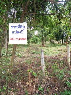 ขาย ที่ดิน ใกล้ถนนมิตรภาพอุดร-หนองคาย เพียง 500 ม.  2 ไร่ 91.7 ตร.วา