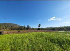 ขายที่ดิน เกาะคา ลำปาง ติดริมน้ำแม่ต๋ำ โครงการอ่างเก็บน้ำ ศูนย์ศิลปาชีพ ทำเลดี วิวสวย เหมาะแก่การทำรีสอร์ต -202301121821451673522505274.jpg