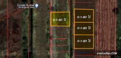 ขาย ที่ดิน ที่ดินแบ่งขาย 4 แปลง อ.หนองเสือ จ.ปทุมธานี แปลงละ 180 ตารางวา 1 ไร่ 3 งาน 20 ตร.วา-202302071604001675760640513.jpg