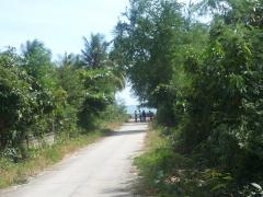 ขาย - เช่า ที่ดินเดินลงชายหาดได้เพียง  50 เมตร 14000/ ตรว.ใกล้หาดแหลมกุ่ม ทับสะแก-202303150510041678831804013.jpeg