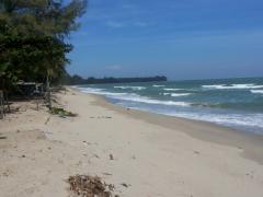 ขาย - เช่า ที่ดินเดินลงชายหาดได้เพียง  50 เมตร 14000/ ตรว.ใกล้หาดแหลมกุ่ม ทับสะแก-202303150510061678831806136.jpeg