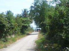 ขาย - เช่า ที่ดินเดินลงชายหาดได้เพียง  50 เมตร 14000/ ตรว.ใกล้หาดแหลมกุ่ม ทับสะแก-202303150546411678834001880.jpeg