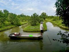 ขายที่ดินเปล่า หนองเสือ คลอง 10 ปทุมธานี ใกล้วัดราษฎร์บำรุง เนื้อที่ 14-1-77 ไร่ ทำเลดี หนองแค สระบุรี เหมาะเปิดร้านคาเฟ่ หรือทำสวนทำไร่-202304051650381680688238415.jpg