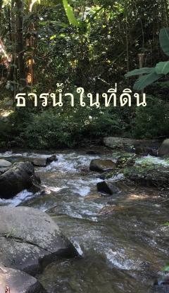 ขายที่ดิน 64 ไร่ พร้อมสวนผลไม้ผสมผสานเก็บผลผลิตได้แล้ว ไร่ละ 45,000 บาท-202306302041431688132503636.jpg