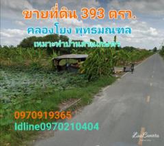 ขาย ที่ดิน ติดถนน ติดน้ำ 393 ตร.วา คลองโยง พุทธมณฑล-202308190936271692412587892.jpg