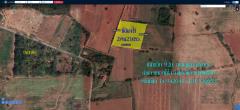 ขายสิทธิการเช่าที่ดินราชพัสดุ เนื้อที่4ไร่2งาน21ตรว.หน้ากว้าง 92ม.ถนนลูกลังสาธารณะ ตำบล หนองน้ำใส อำเภอสีคิ้ว นครราชสีมา -202309261239391695706779862.jpg