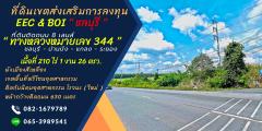 ขายที่ดินติดถนน 344 หนองใหญ่-บ้านบึง-ชลบุรี