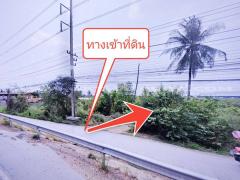 ที่ดินจัดสรร ล็อคที่ 22 ถ.346 ลาดหลุมแก้ว ปทุมธานี-202311231057351700711855141.jpg