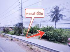 ที่ดินจัดสรร ล็อคที่ 19 ถ.346 ลาดหลุมแก้ว ปทุมธานี-202311231102451700712165122.jpg