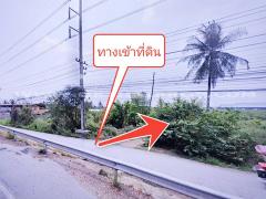 ที่ดินจัดสรร ล็อคที่ 20 ถ.346 ลาดหลุมแก้ว ปทุมธานี-202311241545401700815540560.jpg