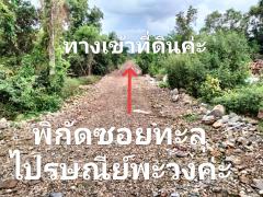 ขายที่ดินในซอยทะลุปณ.พะวงทางเข้าเมืองสงขลา-202401042108461704377326111.jpg