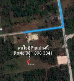 ขายที่ดินในซอยทะลุปณ.พะวงทางเข้าเมืองสงขลา-202401042109111704377351146.jpg