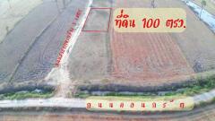 ขายที่ดิน 100 ตรว. 250,000 บาท ต.หัวสะพาน อ.เมือง จ.เพชรบุรี-202401251247111706161631866.jpg