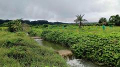 ขาย ที่ดิน บ้านไร่อิงธาร 54 ไร่ 240 ตร.วา มีธารน้ำในแปลง ติดถนนลาดยาง ลิ่นถิ่น ทองผาภูมิ-202401271924391706358279649.jpg