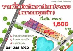 เปิดขายที่ดินย่านรีโครงการใหม่หลังตลาดไทยประคอง เนื้อที่เริ่มต้น 120 ตรว. เหมาราคาแสนนิดๆ หลังร.พ.กบินทร์ จ.ปราจีนบุรี