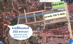 ขายที่ดิน 202 ตรว.หลังตลาด 700 ไร่ สัตหีบ ที่สวย ราคาถูก-202403011309551709273395630.jpg