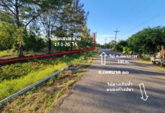 ขาย ที่ดิน ชุมชนบ้านวัด ฝั่งตะวันออก ห่าง ถ.มิตรภาพ 190 ม. ต.เทพาลัย อ.คง จ.นครราชสีมา 17 ไร่ 1 งาน 26 ตร.วา ใกล้พื้นที่พืชสวนโลก ปี 2572.-202404012035331711978533064.jpg