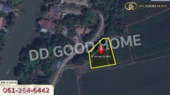 ที่ดิน อ.เสนา 340 ตร.ว. อยุธยา-202404171140501713328850774.jpg