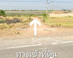 ที่ดิน ถนนสายเอเชีย 32 (กม.128) อ.สรรพยา จ.ชัยนาท-202404201034061713584046400.jpg