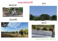 ขาย ที่ดิน ติดถนน 3 ด้าน บ้านสวนพร้อมแหล่งน้ำ  วิวเขาใหญ่ อ.เมือง ปราจีนบุรี 10 ไร่ 96 ตร.วา มีรั้วคอนกรีตล้อมเกือบ 10 ไร่-202404261753541714128834866.jpg