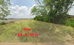 ขาย ที่ดินบางเตย สามโคก ปทุมธานี 22-2-31 ไร่ ใกล้ ม.ชินวัตรและโรงงาน CPRAM-202405081435291715153729444.jpg