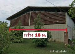 โกดังให้เช่าติดถนน เดินทางสะดวก  ตำบลห้วยไผ่ เมืองราชบุรี-202405122145341715525134678.jpg