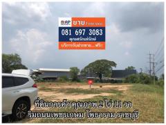 ขาย ที่ดิน - 2 ไร่ 11.1 ตร.วา ใกล้สหกรณ์โคนม โพธาราม ราชบุรี-202405161836161715859376677.jpg