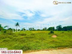 ที่ดิน อ.เมืองชัยภูมิ 40 ตร.ว. ชัยภูมิ-202405211246011716270361057.jpg