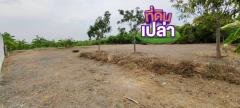 ขาย ที่ดิน บ้านงิ้ว สามโคก 109 ตร.วา สไตล์บ้านสวน สงบ สบาย-202405211940501716295250917.jpg