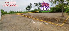 ขาย ที่ดิน บ้านงิ้ว สามโคก 109 ตร.วา สไตล์บ้านสวน สงบ สบาย-202405211940521716295252234.jpg