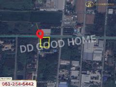 ที่ดิน อ.บางบัวทอง 1 ไร่ 6 ตร.ว. นนทบุรี-202406051802551717585375864.jpg