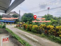 ขาย ที่ดิน ผังสีแดง แปลงสวย อ.เมืองเชียงราย 83.3 ตรว ทำเลดีติดถนนอุตรกิจ อ.เมืองเชียงราย-202406060039451717609185639.jpg