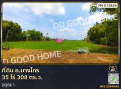 ที่ดิน อ.บางไทร 35 ไร่ 308 ตร.ว. อยุธยา