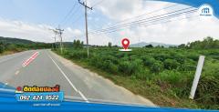 ขายที่ดิน ถนนรวมมิตร-เขาภูดร จำนวน 25-2-25 ไร่ ห่างถนนสุขุมวิท 1.9 km บ้านฉาง ระยอง-202406101146031717994763576.jpg