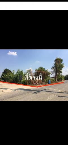 ขายที่สวย1งาน ต.กรับใหญ่ อ.บ้านโป่ง จ.ราชบุรี-202406121149421718167782408.jpg