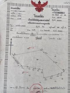 ที่ดินทำเลดี รอบรั้วขอบชิด ขายยกแปลง ราคาดี เจ้าของขายเอง  อ.กุสุมาล์ย จ. สกลนคร-202406121519441718180384472.jpg