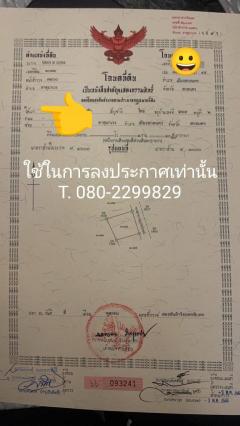 ขายที่ดินแถวสี่แยกพายพาส ใกล้ศาลากลางสกลนคร-202406121835581718192158343.jpg