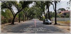 ขายที่ดิน หมู่บ้านนวธานี ด้านหน้าติดถนนเมน ด้านหลังติดสนามกอล์ฟ-202406131242321718257352941.jpg