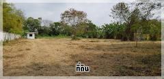 ขายที่ดิน หมู่บ้านนวธานี ด้านหน้าติดถนนเมน ด้านหลังติดสนามกอล์ฟ-202406131242341718257354290.jpg