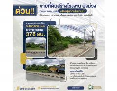 ขายที่ดินเปล่า-68-3-57-ไร่-เหมาะสร้างโรง