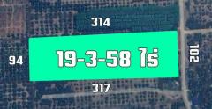 ขายสวนลำไย 19-3-58 ไร่ อ.พร้าว เชียงใหม่-202406181753541718708034195.jpg