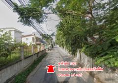 ขายที่ดิน หนองแก หัวหิน ประจวบคีรีขันธ์-202406200932581718850778429.jpg