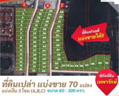 ขายที่ดินเปล่าจัดสรร 19-1-83 ไร่ ย่านบางพลี-เทพารักษ์ แบ่งขายได้