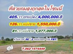 ที่สวยถมสูง ถูกสุด ในโซนนี้ สุวินทวงศ์ 96/2 หนองจอก T.062-1574449-202406211454151718956455365.jpg