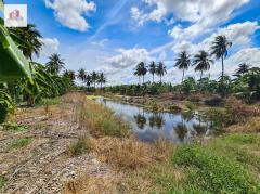 ขาย ที่ดิน แปลงใหญ่-ใกล้ถนนเพชรเกษม หมู่บ้านเศรษฐกิจ บางแค 8 ไร่ 56 ตรว