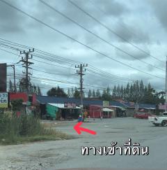 ขายที่ดิน 102 ตรว. ขนงพระ ปากช่อง ใกล้ถ.มิตรภาพ 1.3 กม. ใกล้แหล่งชุมชน เหมาะสำหรับปลูกบ้านพักอาศัย-202406272219081719501548084.jpeg