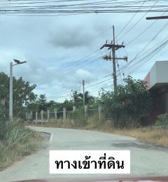 ขายที่ดิน 102 ตรว. ขนงพระ ปากช่อง ใกล้ถ.มิตรภาพ 1.3 กม. ใกล้แหล่งชุมชน เหมาะสำหรับปลูกบ้านพักอาศัย-202406272219081719501548832.jpeg